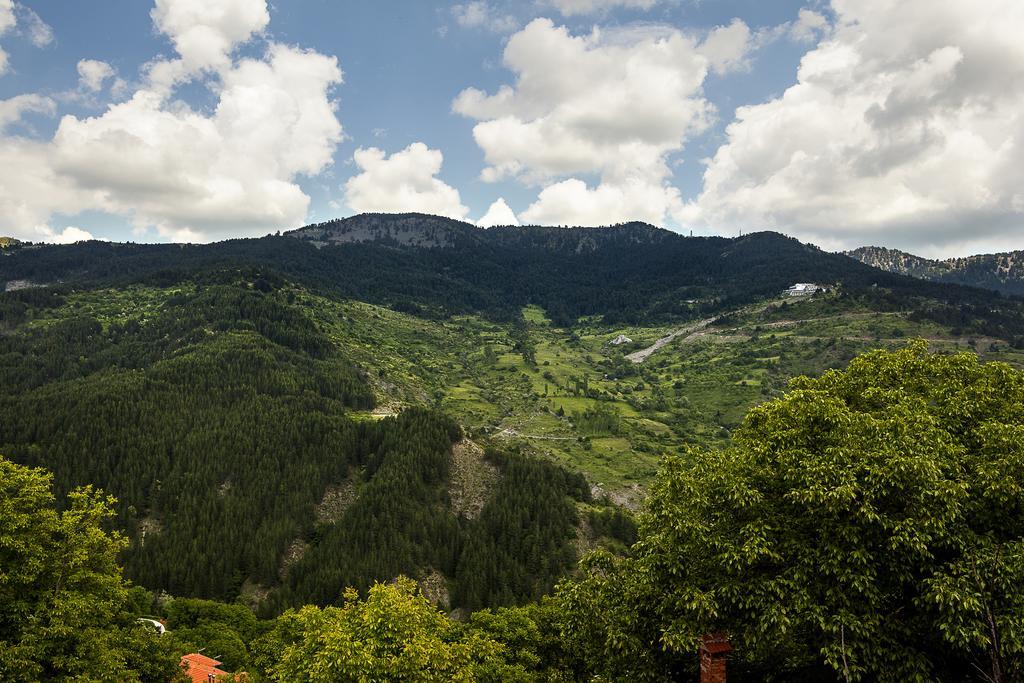 AROMA DRYOS SPA&ECO Hotel Metsovo Habitación foto